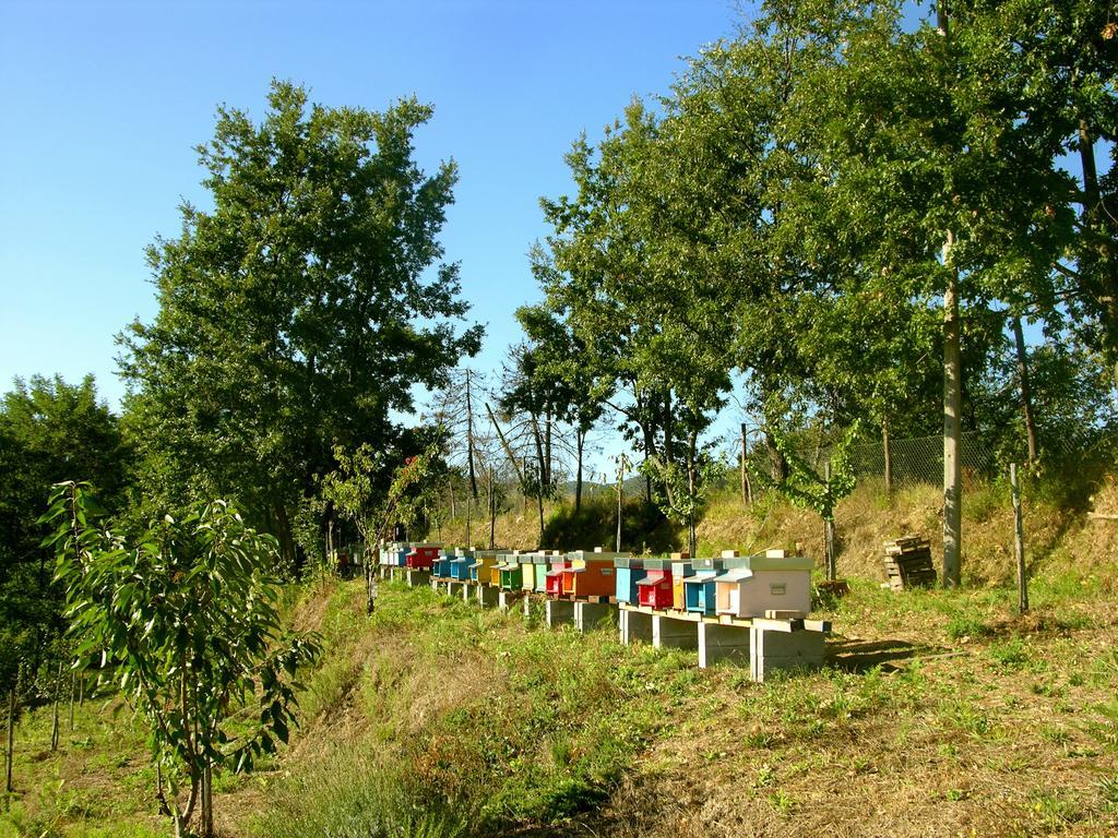 Frühstückspension Angio Nel Cere *