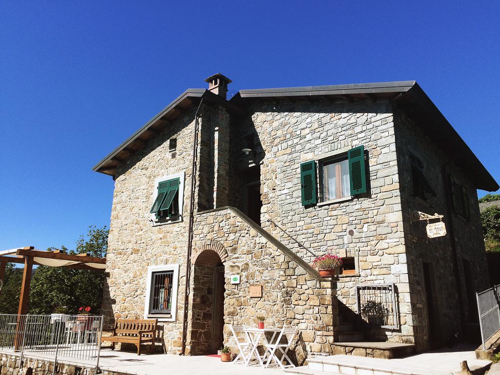 Angio Nel Cere Bracelli